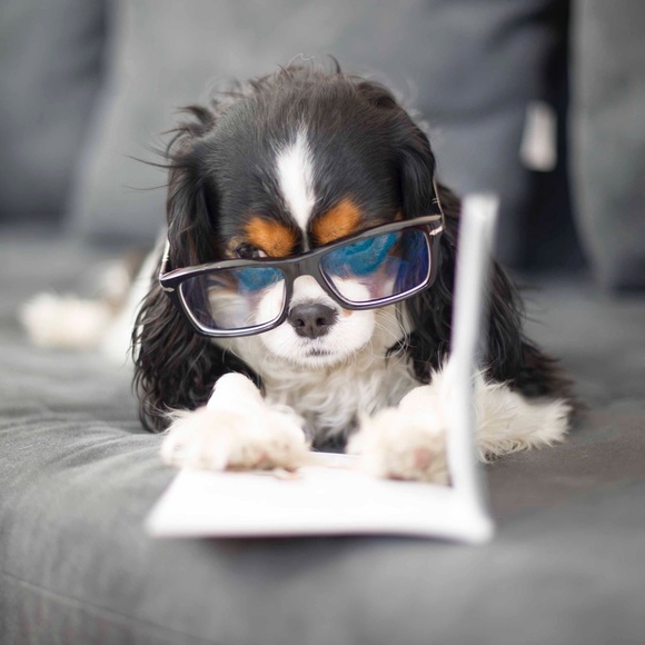 Meet your Posher, Nikky - Picture 5 of 8